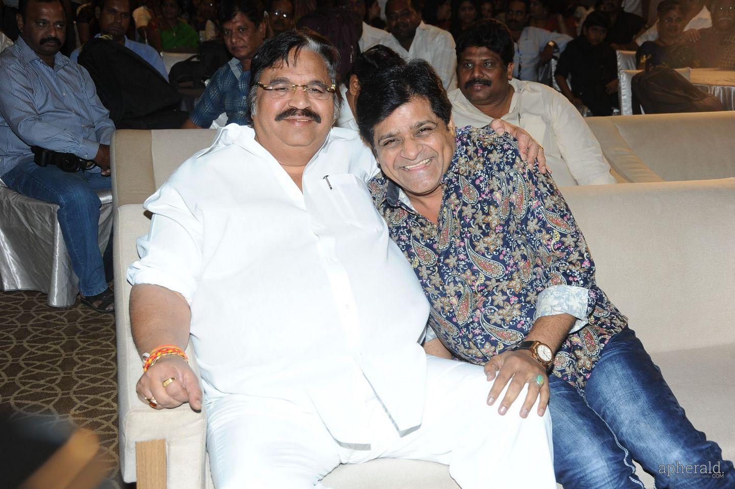 Malupu Audio Launch