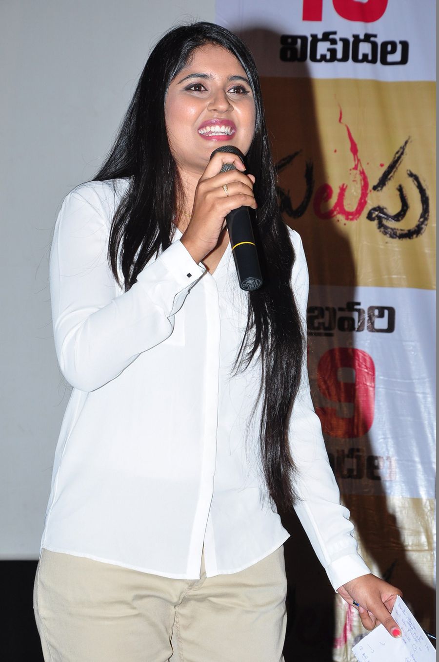 Malupu Movie Press Meet Photos