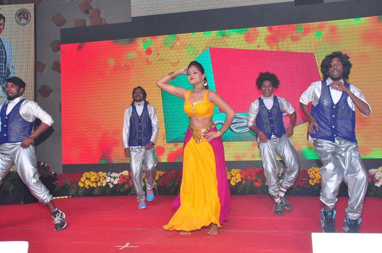 Mama Manchu Alludu Kanchu Audio Launch Photos Part II