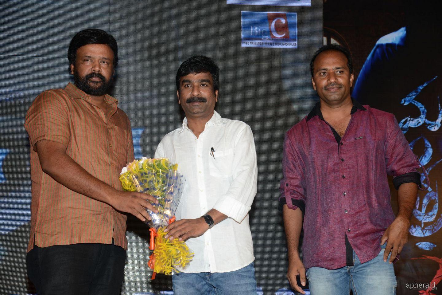 Mantra 2 movie Audio Launch Pics