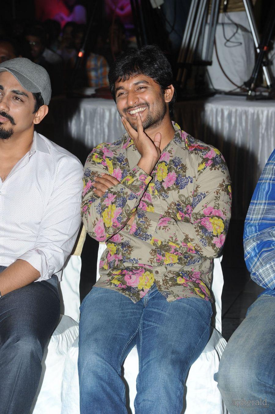 Naalo Okkadu Audio Launch Photos