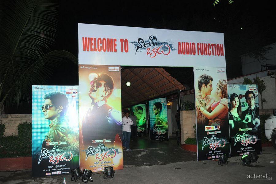 Naalo Okkadu hoardings at Audio launch