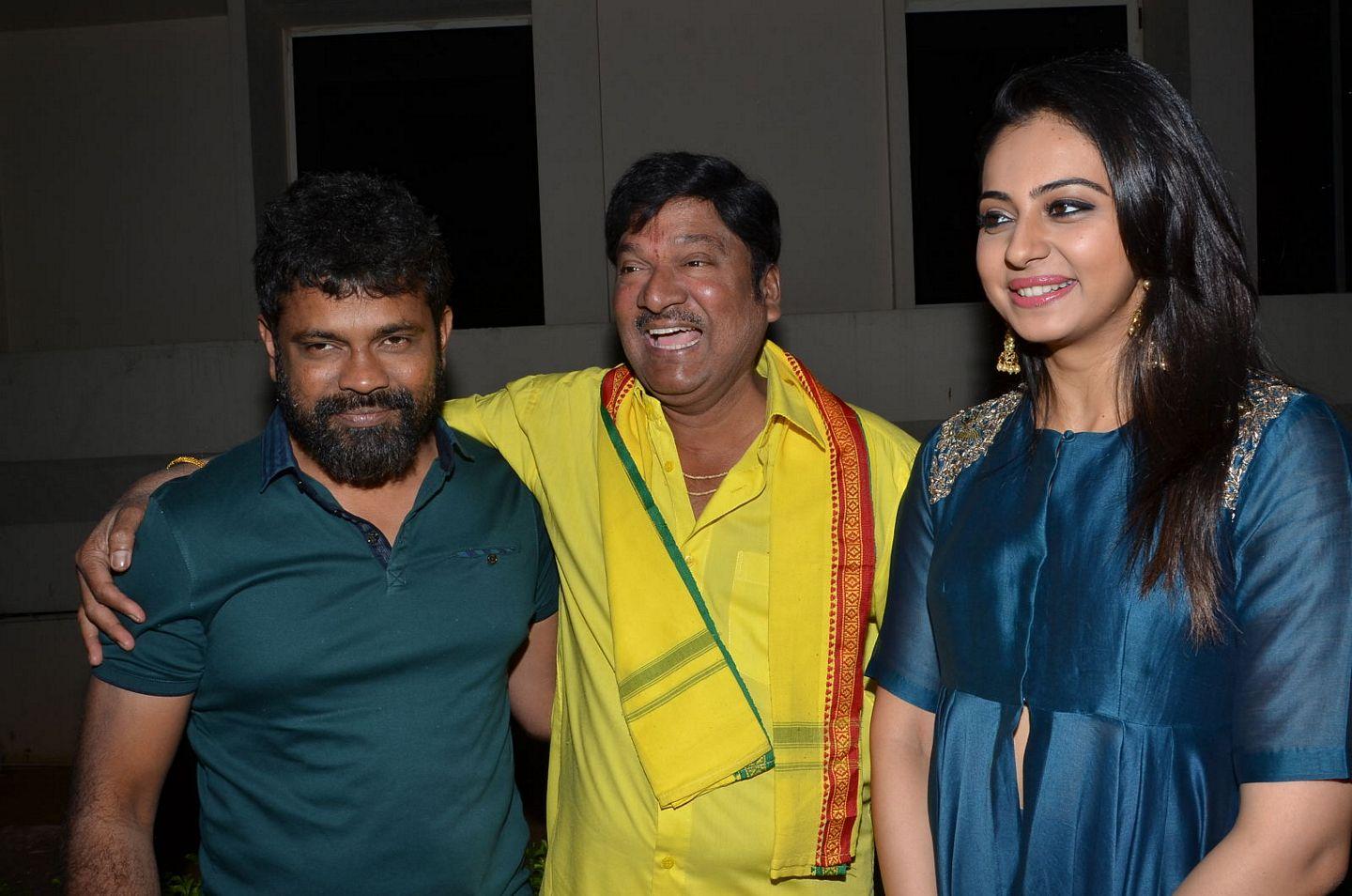 Nannaku Prematho Title Song Launch Photos