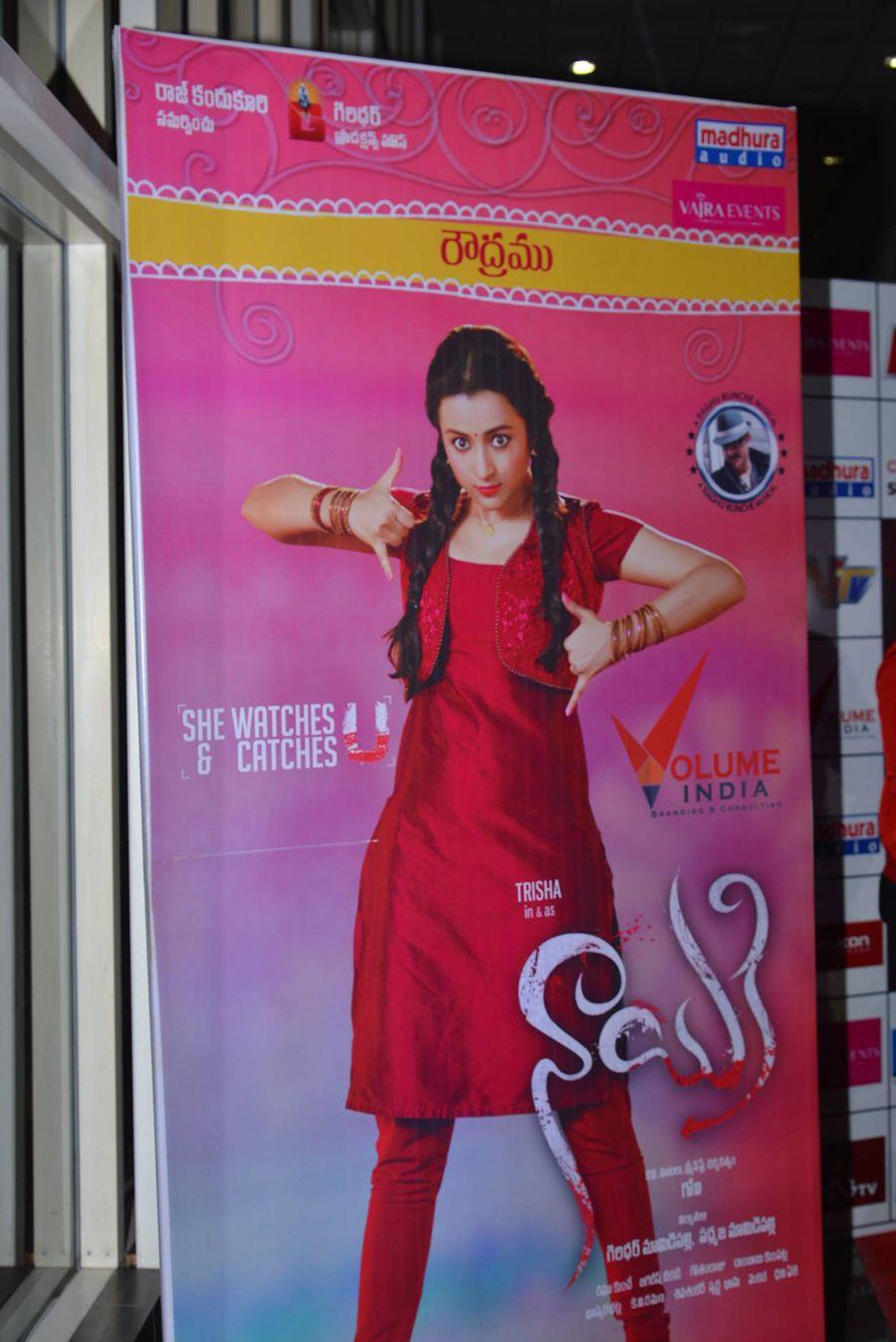 Nayaki Movie Audio Launch Photos
