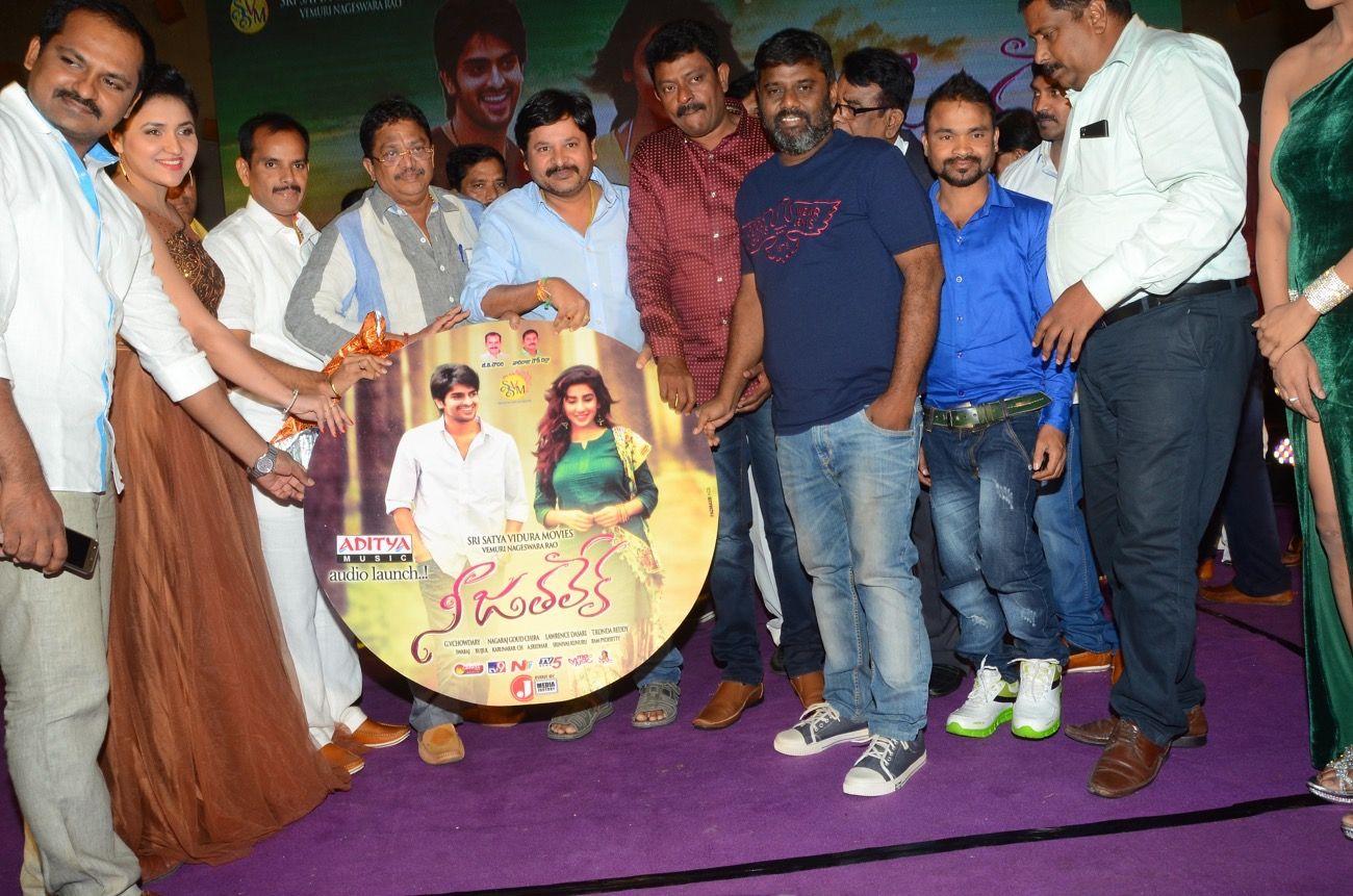 Nee Jathaleka Audio Launch Photos