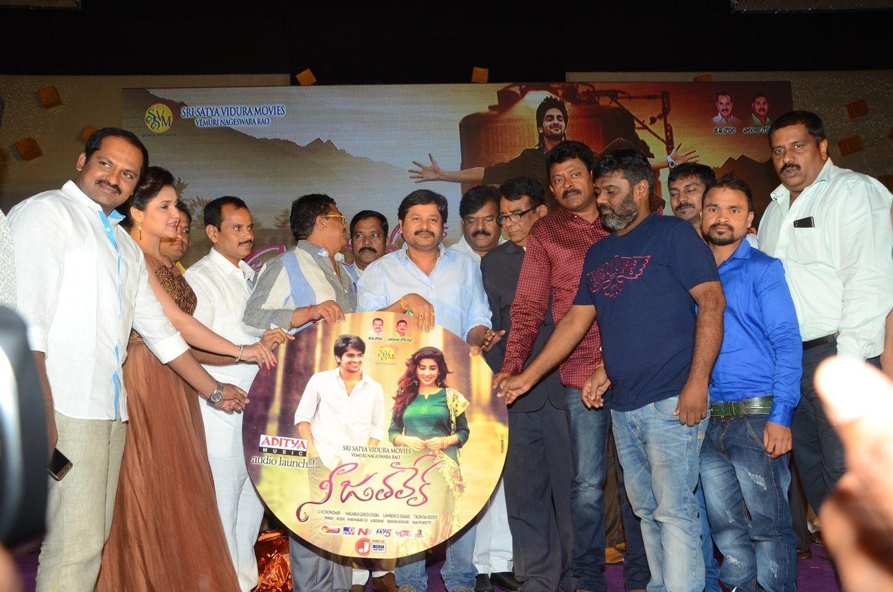 Nee Jathaleka Audio Launch Photos