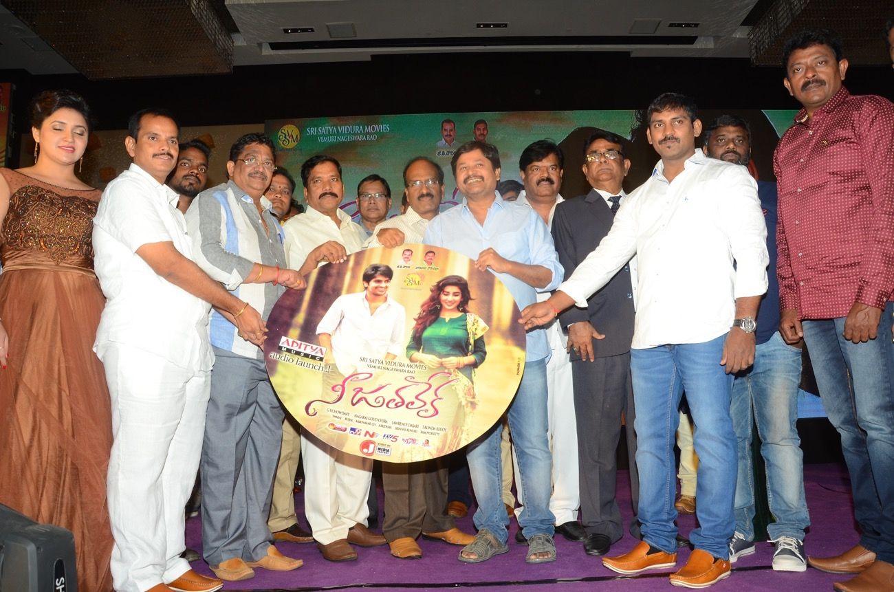 Nee Jathaleka Audio Launch Photos