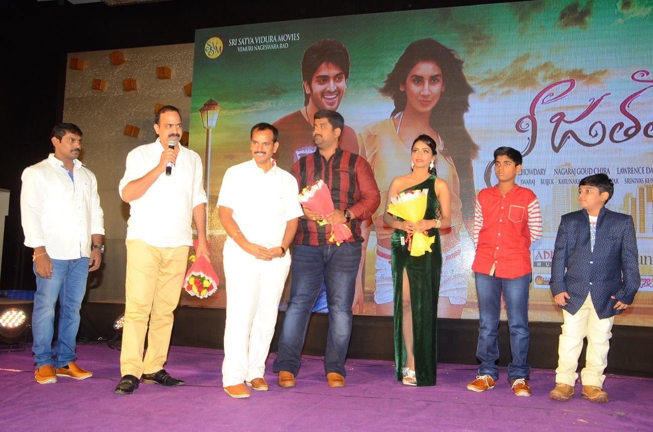 Nee Jathaleka Audio Launch Photos