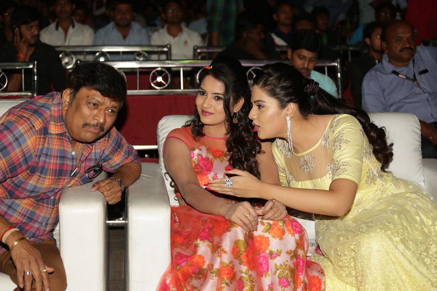Nenu Sailaja Audio Launch Photos
