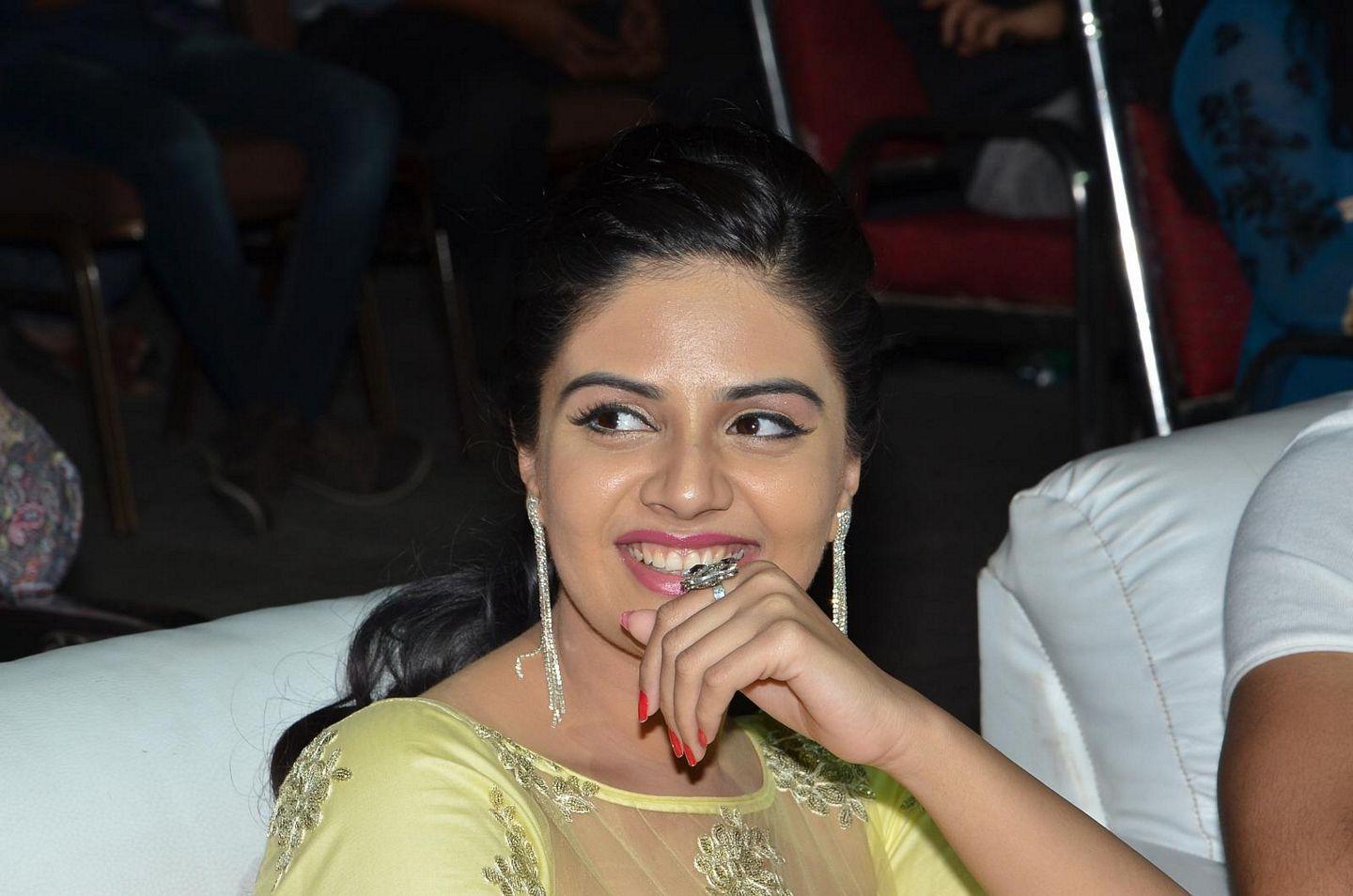 Nenu Sailaja Audio Launch Photos