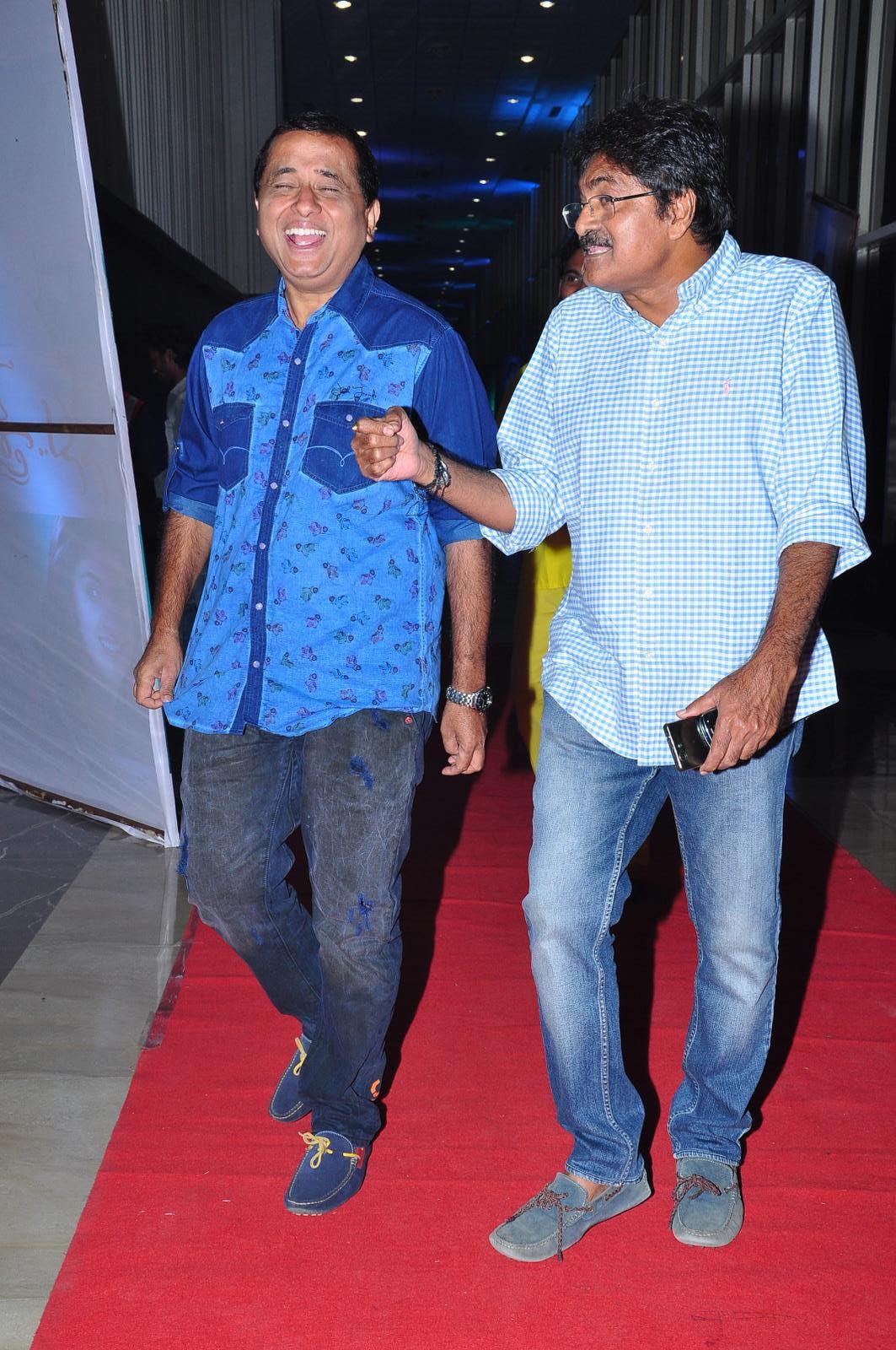 Nenu Sailaja Audio Launch Photos