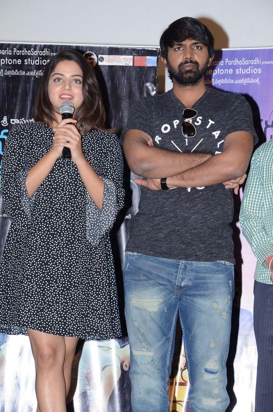 Ninnu Vadili Nenu Polevule Movie Press Meet Photos