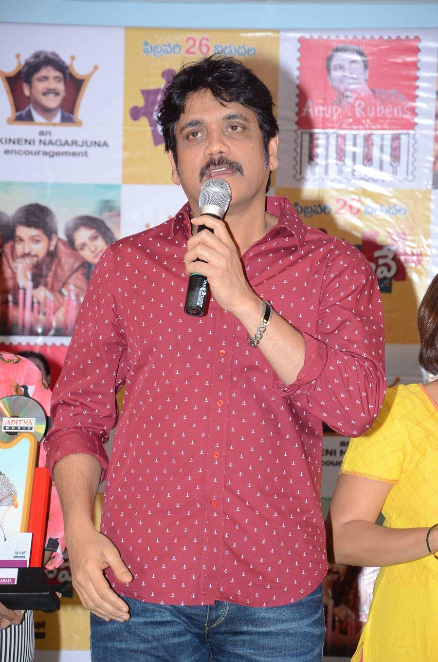 Padesave Movie Platinum Disc Function Photos