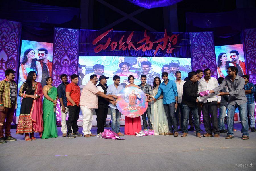 Pandaga chesuko Audio launch Photos