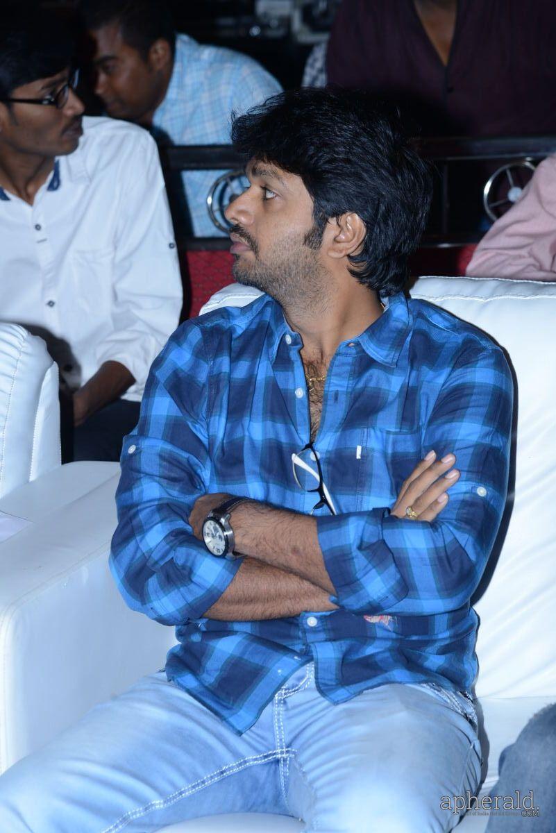 Pandaga chesuko Audio launch Photos