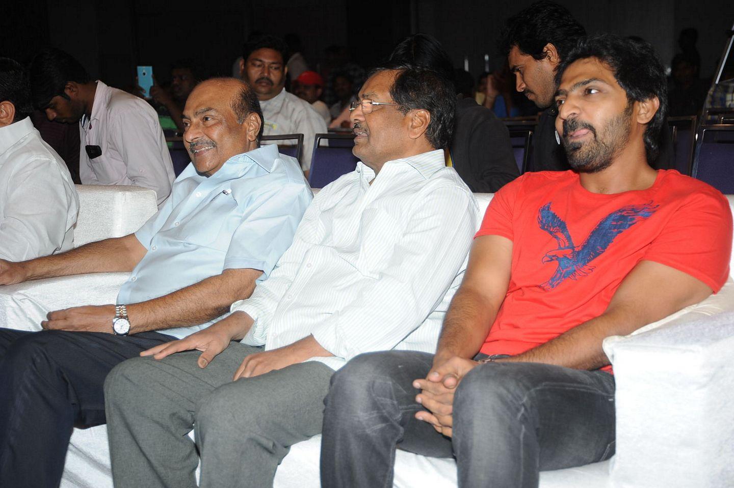 Pandavuulo Okkadu Audio Launch