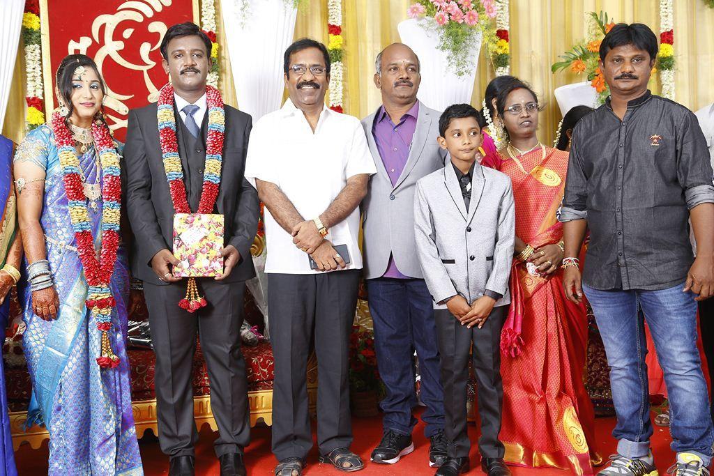 PRO Vijayamuralee Son Wedding Reception Photos