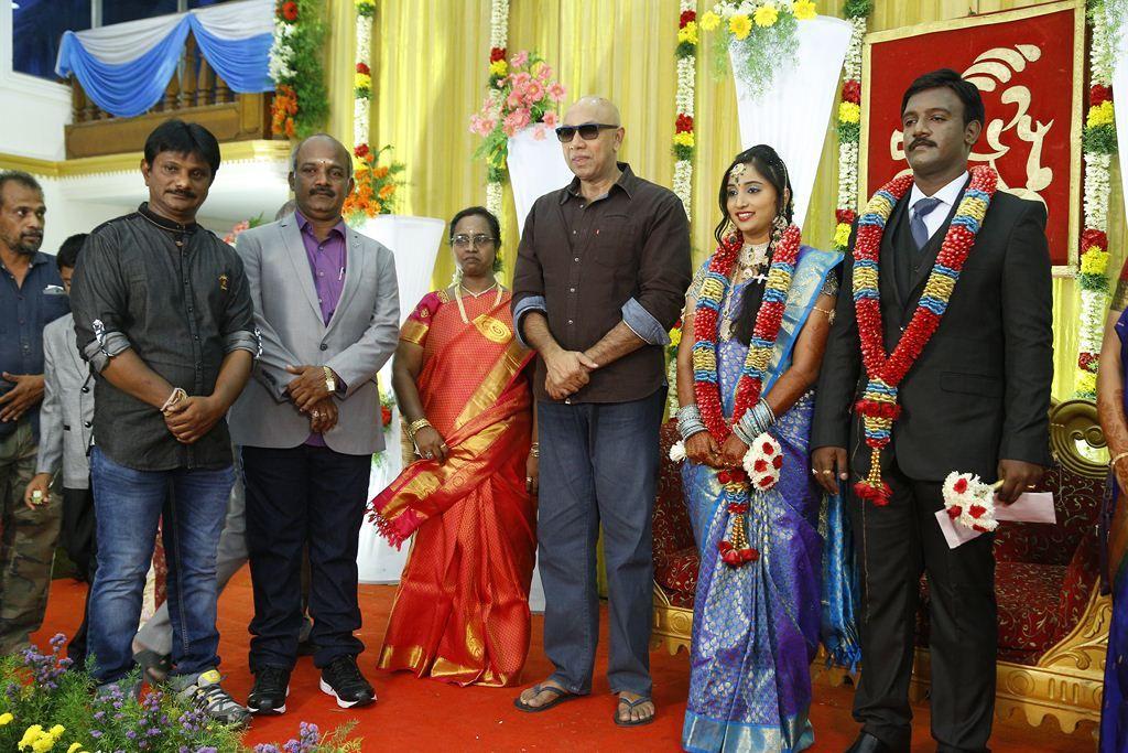 PRO Vijayamuralee Son Wedding Reception Photos