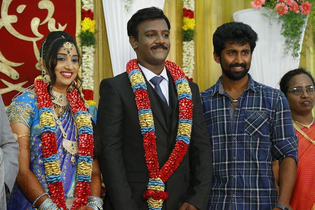 PRO Vijayamuralee Son Wedding Reception Photos