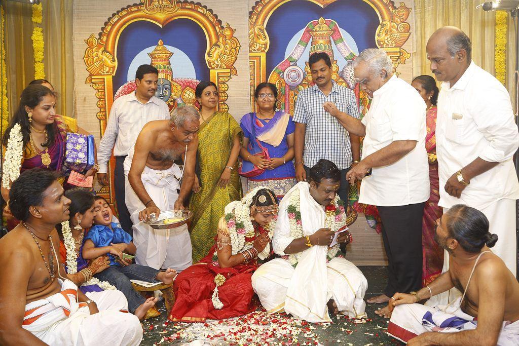 PRO Vijayamuralee Son Wedding Reception Photos