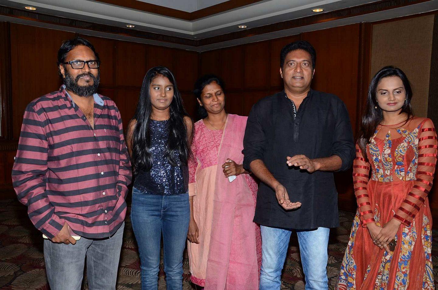 Rudhramadevi Success Meet Pics