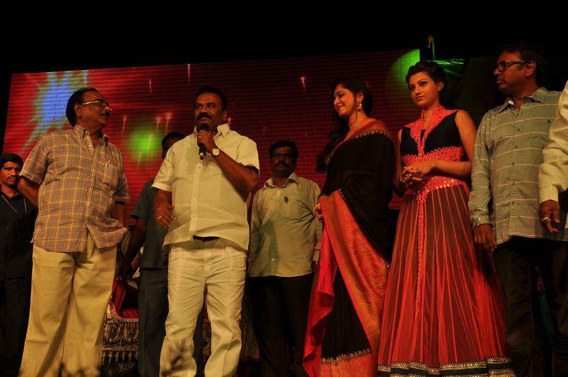 Rudramadevi Audio Launch At Warangal