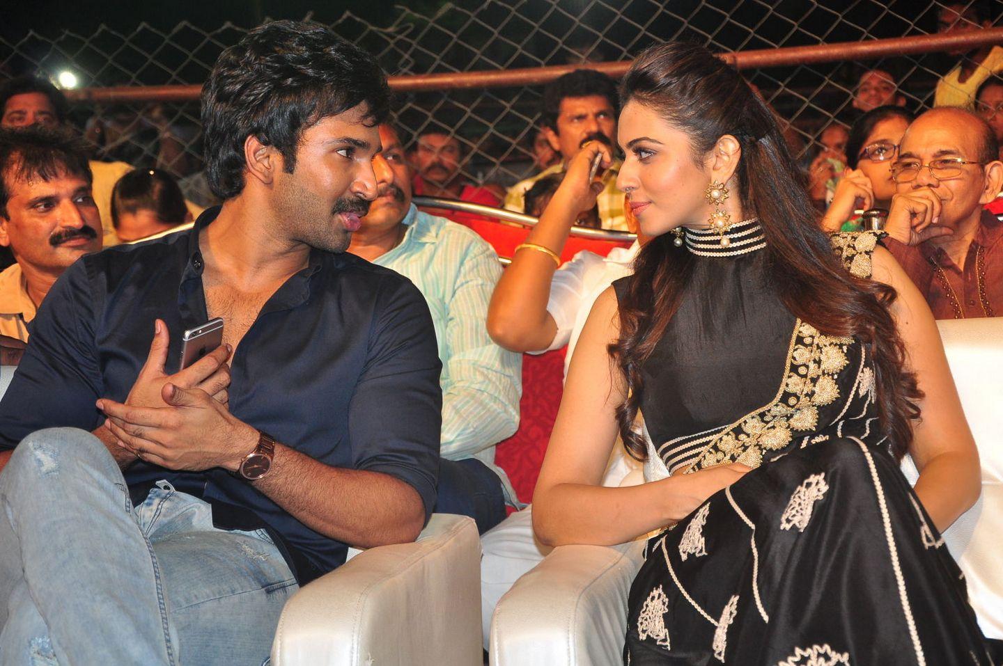 Sarrainodu Movie Blockbuster Function Photos