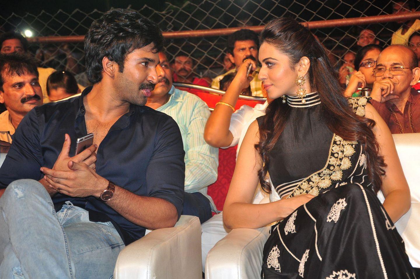 Sarrainodu Movie Blockbuster Function Photos