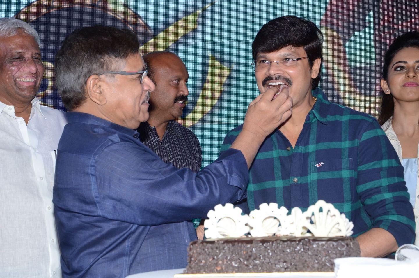 Sarrainodu Movie Success Meet Photos