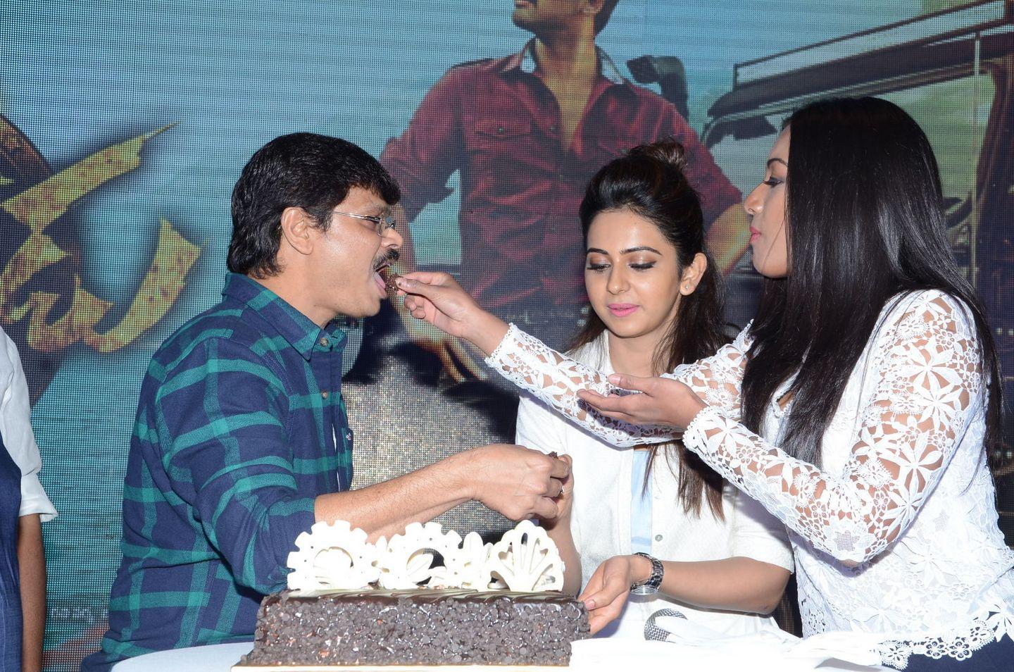 Sarrainodu Movie Success Meet Photos