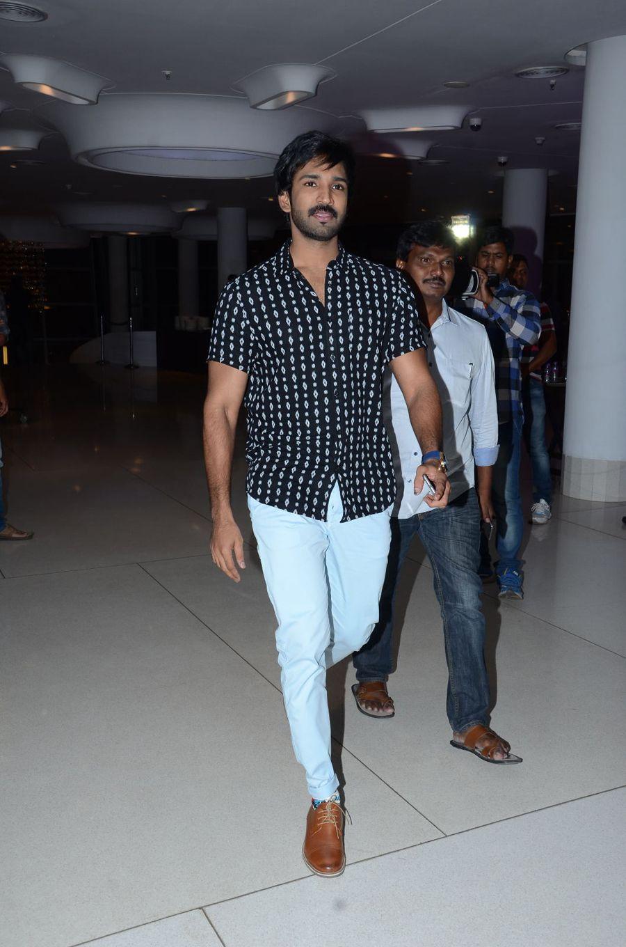 Sarrainodu Movie Success Meet Photos