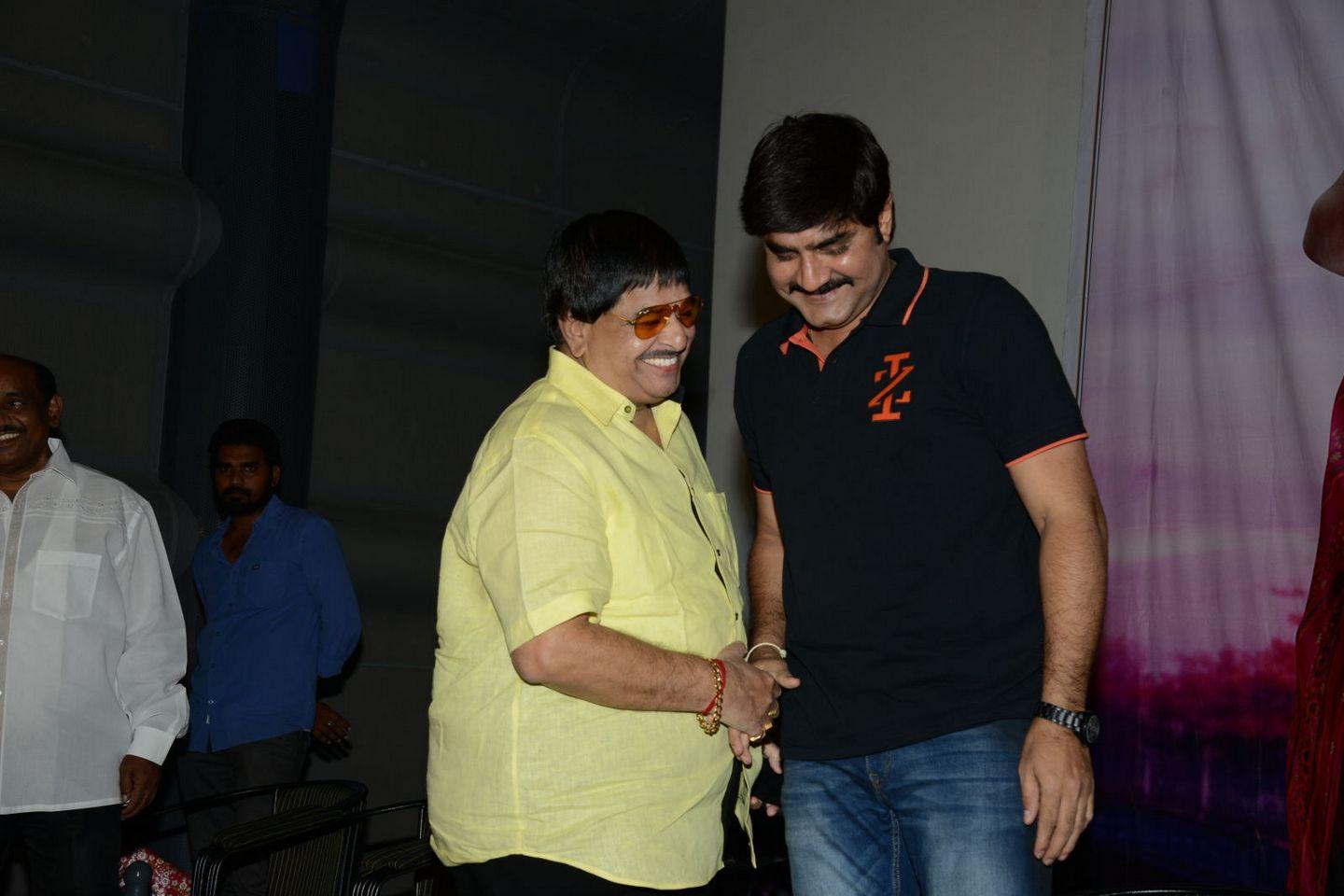 Seenu Gadi Love Story Audio Launch Pics