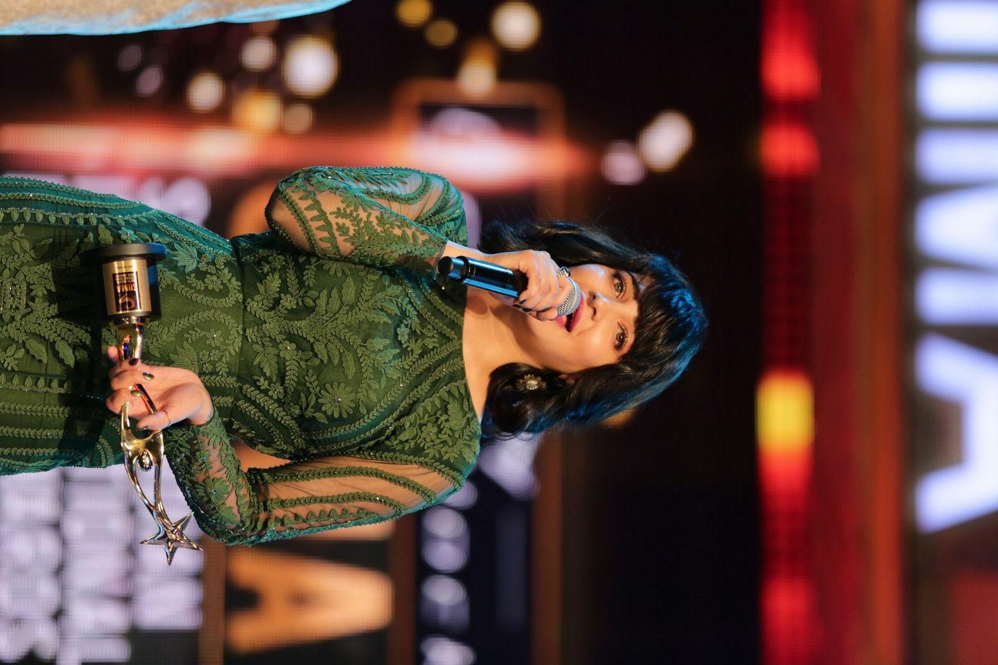 SIIMA 2016 Awards Function Photos