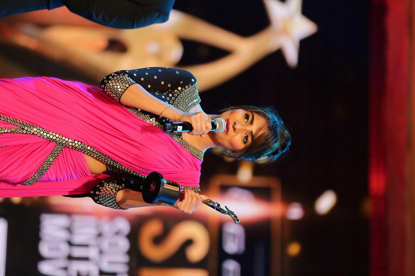 SIIMA 2016 Awards Function Photos