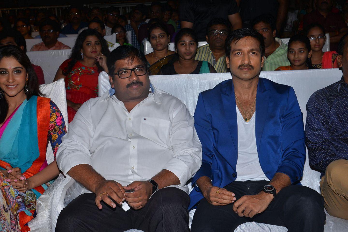 Soukyam Movie Audio Launch Photos Part II