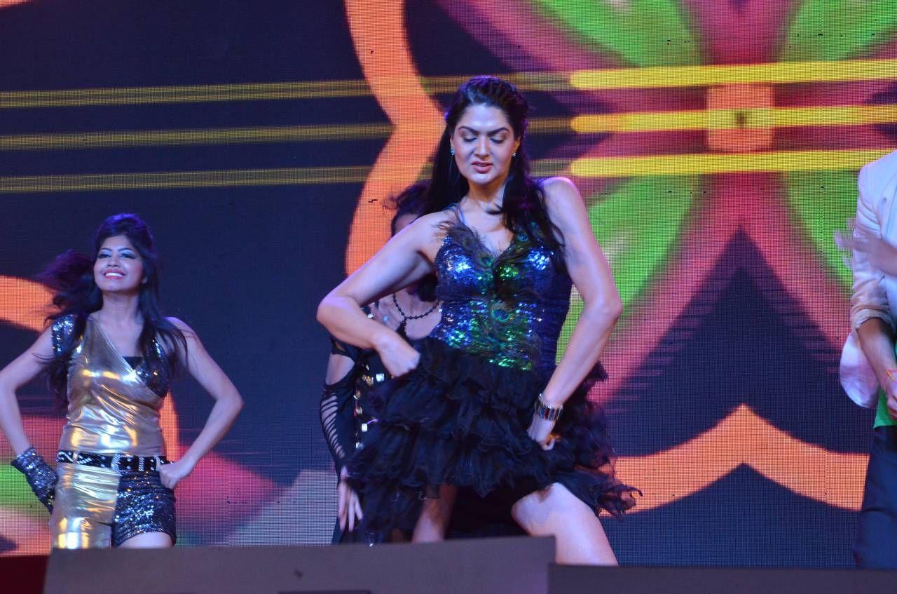 Speedunnodu Audio Launch Photos Part II