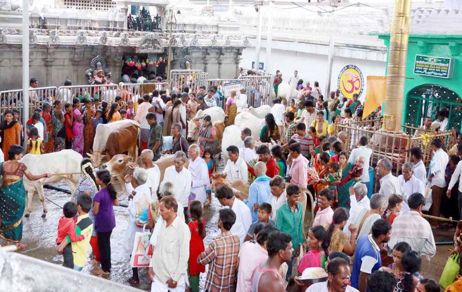 Sri NCBN On The Event of Godavari Maha Pushkarams at Rajahmundry