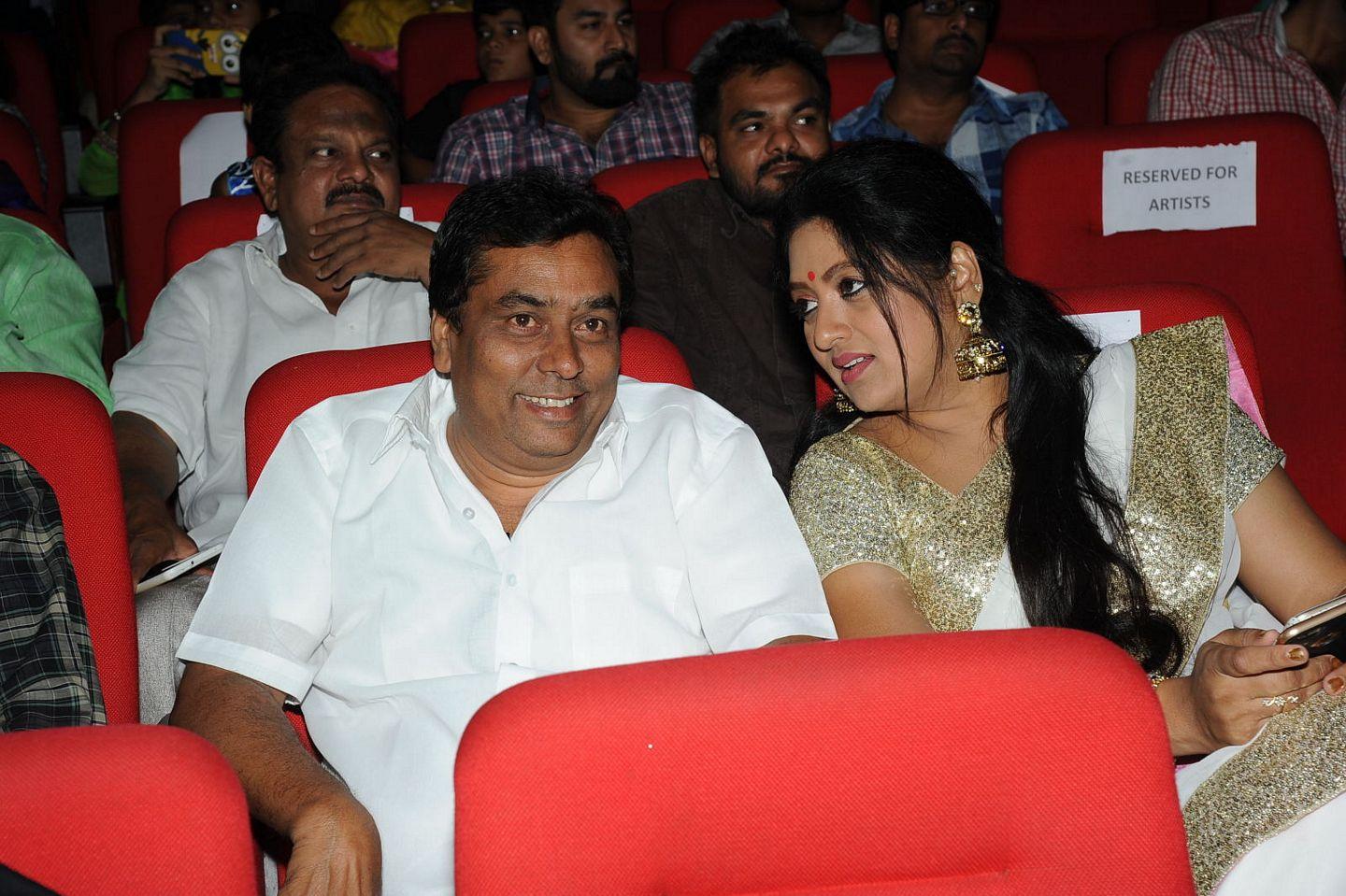 Srimanthudu Grand Success Meet Photos