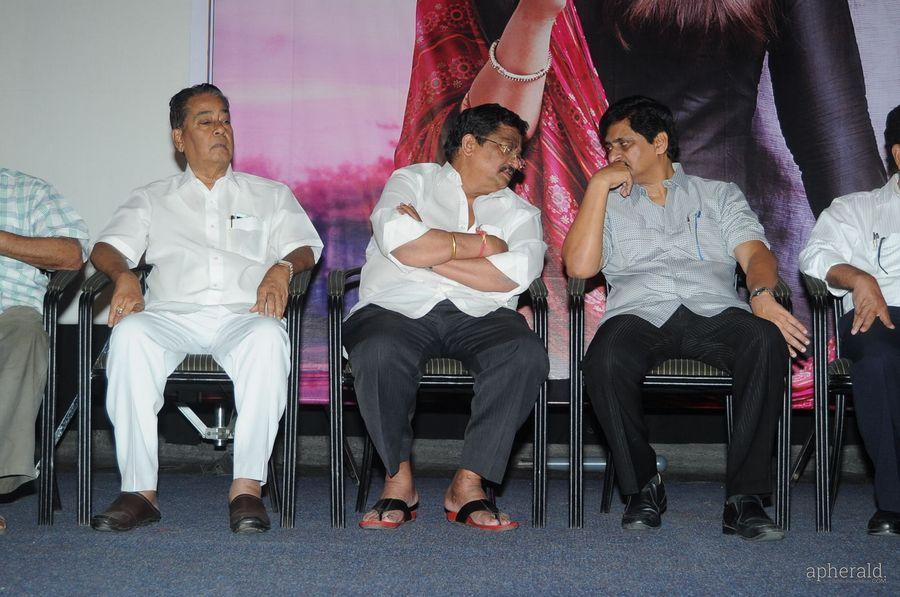 Srinugadi Love Story Trailer launch Photos