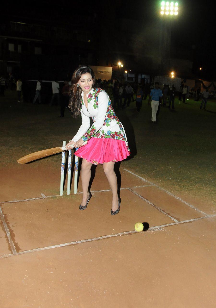 Twister Mitsui Shoji T 20 League Season 5