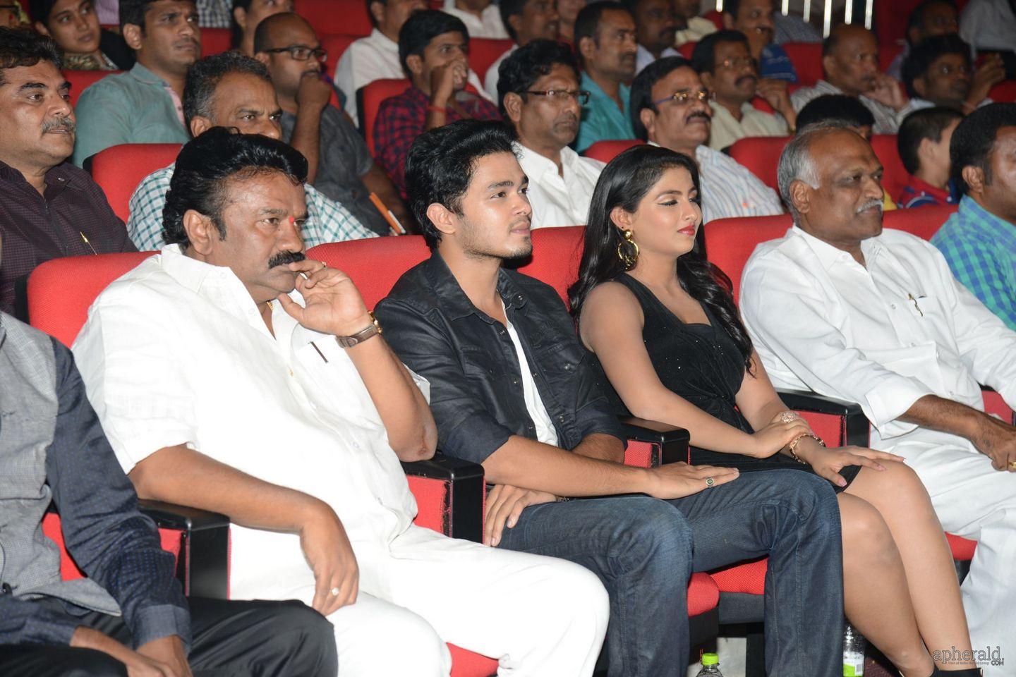 Vinavayya Ramayya Audio Launch