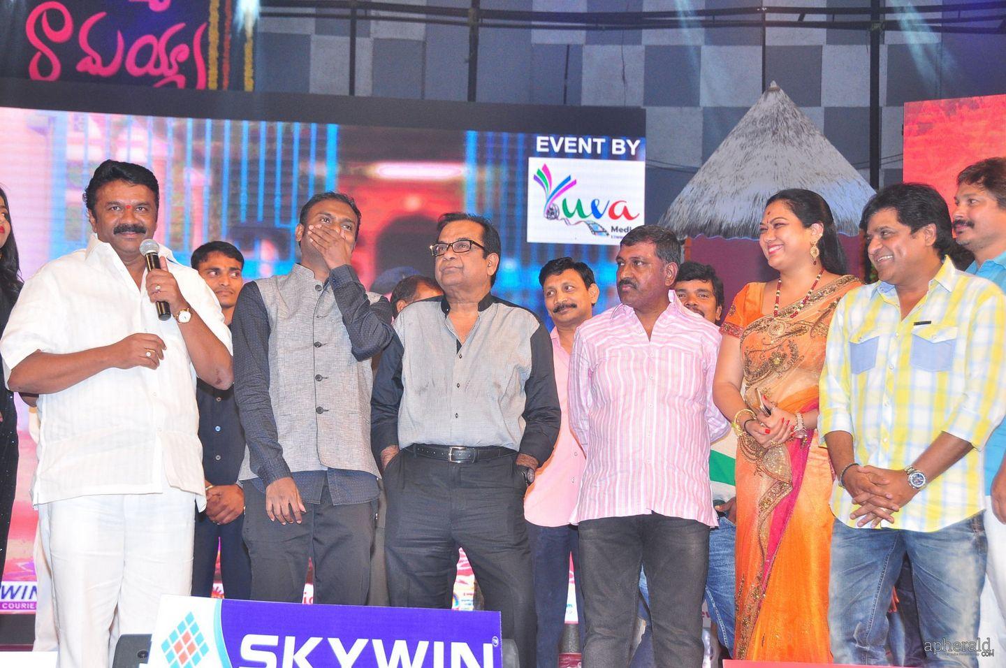 Vinavayya Ramayya Audio Launch