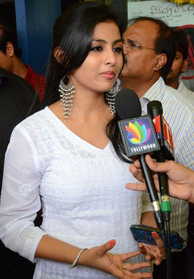 Vinavayya Ramayya Team Hungama Photos