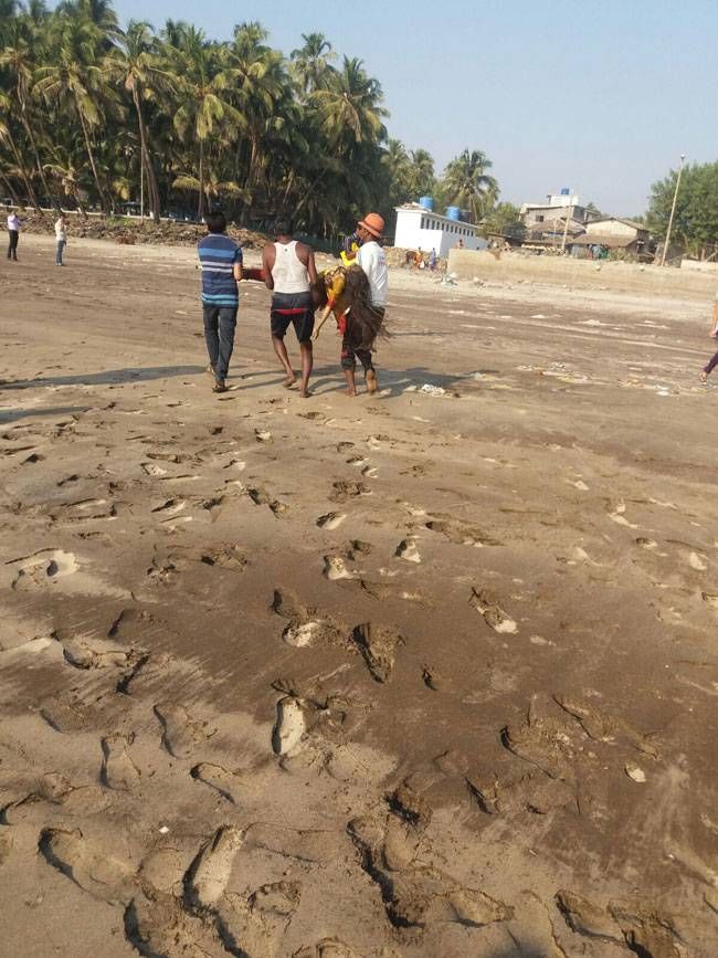 13 Students drown in Murud Beach Tragedy Photos