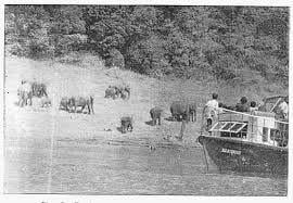 1940s photographs of Sabarimala Ayyappa temple