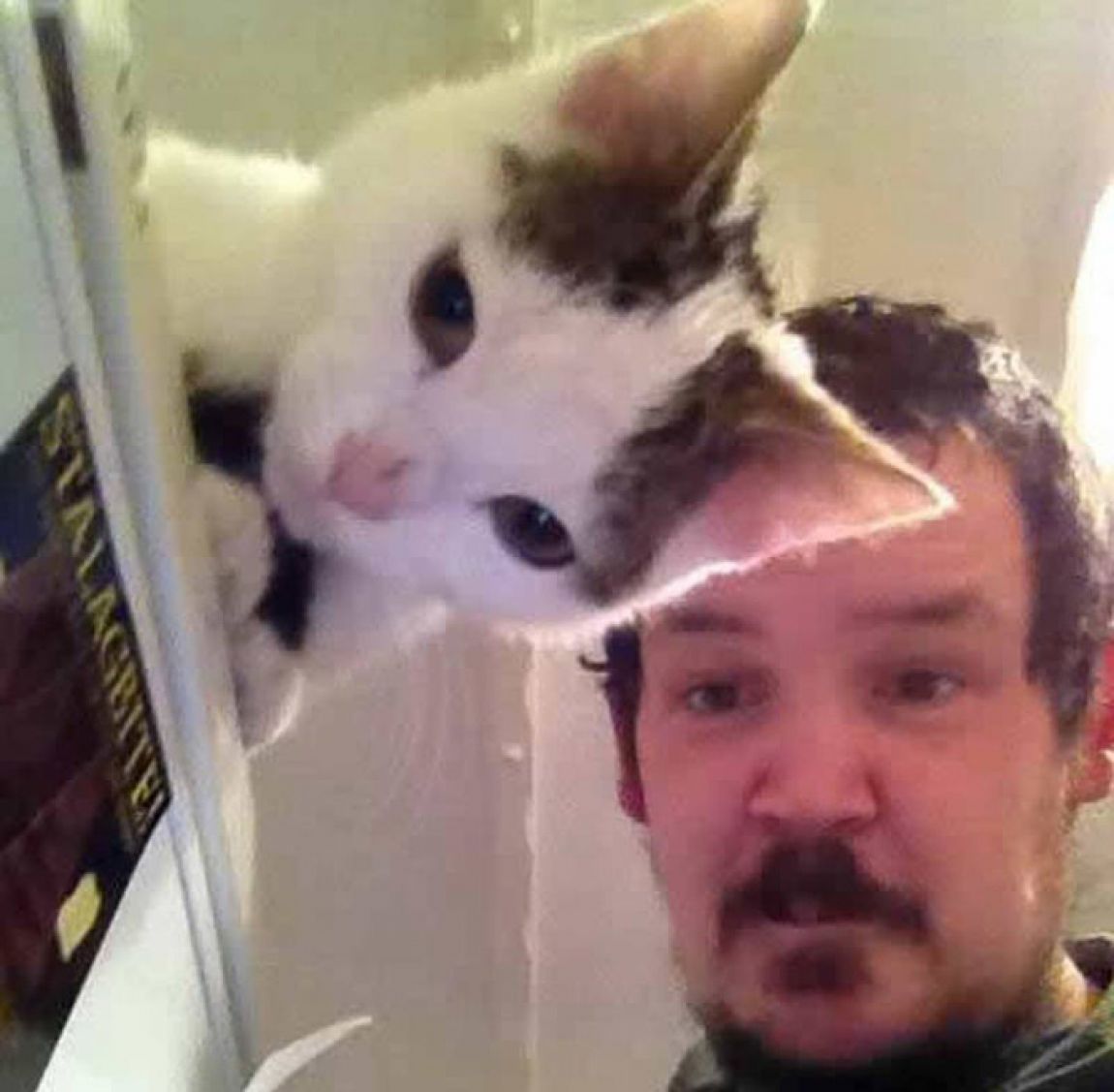 25 Hilarious Photographs That Were Timed To Perfection