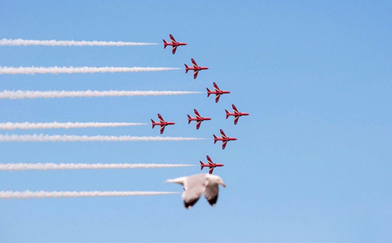 25 Hilarious Photographs That Were Timed To Perfection