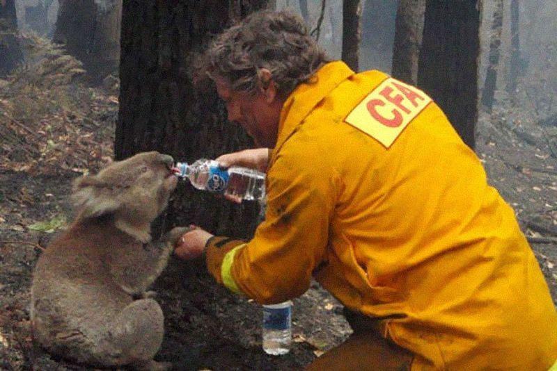 40 Powerful Photos From Around The World