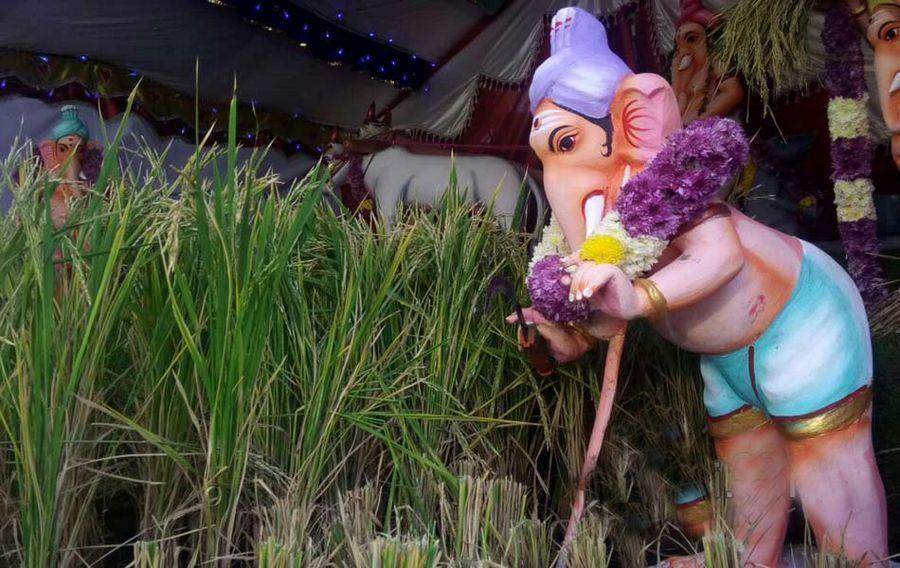 Amazing Ganesh Idols Photos