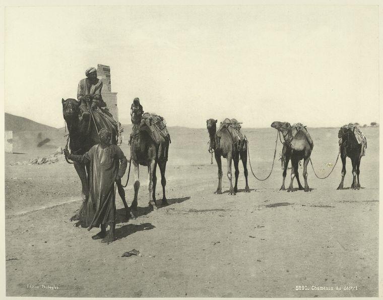 Amazing Vintage Photos of Egypt from the 1870s